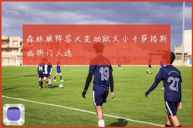 森林狼阵容大变动欧文小卡萨格斯成热门人选
